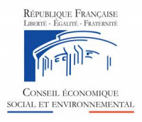 Rôle du Conseil économique, social et environnemental