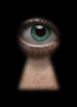 Confidentialité des avis des juristes d'entreprise : plus que des alertes !