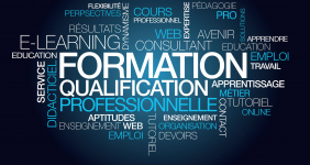 Loi pour la liberté de choisir son avenir professionnel –Un accompagnement des actifs encore trop léger pour confirmer l'objectif de sécurité des parcours.