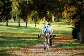 Comité de suivi des retraites : rien de neuf dans le dernier avis