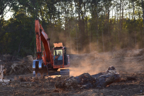 Déforestation : coup de semonce du Parlement européen