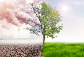 Face à l'urgence climatique : appel à mobilisation pour un nouveau sursaut !