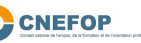 CNEFOP : un point d'étape sur le PIC et de nouveaux décrets…