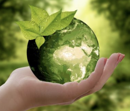 Une Ordonnance de durabilité des Finances sans garantie de transformation...