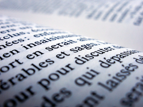 Lutte contre l'illettrisme et l'illectronisme : des résultats encourageants Lutte contre l'illettrisme et l'illectronisme : des résultats encourageants